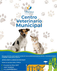 Veterinaria Villarrica