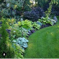 Love This Shade Garden More Transplanting Happening Today In My Garden Photo Credit Helena Karlanda Tuin Ideeen Tuin Shade Garden