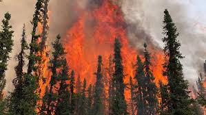 Clearwater Regional Fire Rescue Services, Crfrs | Rocky Mountain House Ab |  Facebook