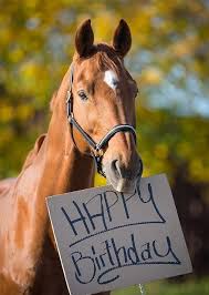 La Creacion De Nuestro Padre Los Animales Gudelia Santana Photo Joyeux Anniversaire Image Joyeux Anniversaire Carte Anniversaire Cheval