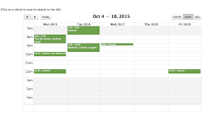 What to do with the Web Viewer