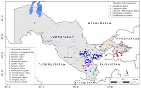 n nn girls brima models new hot project 2020. Nhess The Role Of Synoptic Processes In Mudflow Formation In The Piedmont Areas Of Uzbekistan