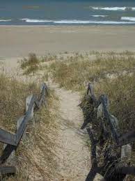 Indiana dunes state park provides a playground on lake michigan. Beverly Shores Beach Indiana Dunes Bild Von Indiana Dunes State Park Chesterton Tripadvisor
