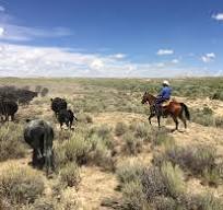 The Cowboy Inn - CoolWorks.com