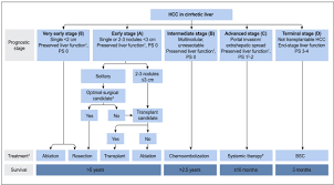 Once the patient is diagnosed with liver cancer, the physician will try to check it out whether cancer has. Scielo Brasil Brazilian Society Of Hepatology Updated Recommendations For Diagnosis And Treatment Of Hepatocellular Carcinoma Brazilian Society Of Hepatology Updated Recommendations For Diagnosis And Treatment Of Hepatocellular Carcinoma