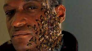 Early promotion for 2021's candyman leans heavily into the bee. Movie Detail Monday The Price Of Being Stung By Real Bees In Candyman Metaflix