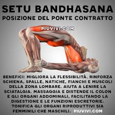 Setu Bandhasana Posizione Del Ponte Contratto Yoga Per Principianti Yoga Esercizi Di Yoga