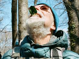 Wildman Steve Brill Archives