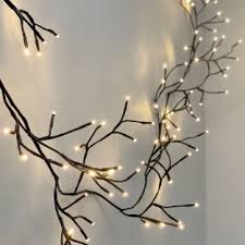 Der discountshop für coole piercings und angesagten schmuck. Plug In Indoor Fairy Lights The Glow Company