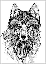Wolf Coloring Pages For Adults Best Coloring Pages For Kids Animal Coloring Pages Wolf Drawing Wolf Colors