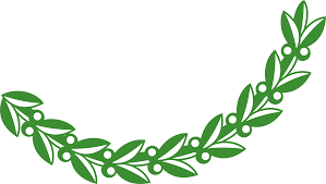 To view the full png size resolution click on any of the below image thumbnail. Green Olive Branch Png Free Green Olive Branch Png Transparent Images 89887 Pngio