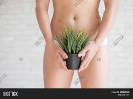Prepare to say byeee to ingrowns forever. Bikini Area Depilation Image Photo Free Trial Bigstock