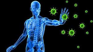 Sistem imun atau sering dikenal dengan sistem kekebalan tubuh merupakan hal terpenting dari tubuh seorang manusia karena sistem daya tahan tubuh memiliki tugas yang luar biasa untuk menjaga kondisi tubuh. 14 Jenis Makanan Ini Kaya Vitamin C Ampuh Untuk Menjaga Daya Tahan Tubuh Tribunnewsmaker Com