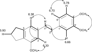 Image result for Indigofera capitata