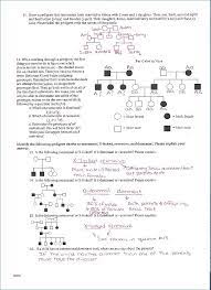 Genetics pedigree worksheet answer key genetics pedigree worksheet answer key and pedigree charts worksheets answer key are some main things we will present to you based on the gallery title. Pedigree Worksheet Answer Key Promotiontablecovers