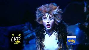 The cast of the beloved musical sings jellicle songs for jellicle cats and memory. Cats Broadway Medley Live Gma Youtube