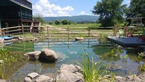 This pool builders miami quote includes: Bionova Archive What We Ve Been Doing