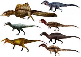 Image result for Suchomimus