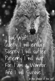 The Quiet Achiever I Searched I Questioned I Prayed Visit Jw Org For Answers To Life S Biggest And Most Imp Warrior Quotes Lone Wolf Quotes Wolf Quotes