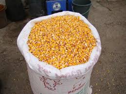 Găsește imobile de vânzare în arad la cele mai bune prețuri. Mei Boabe