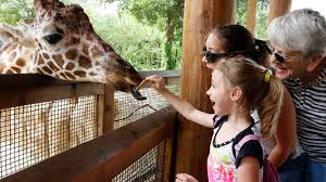 This is the best of the best indoor activities from busy toddler. 10 Best Things To Do In Dallas With Kids Mommy Nearest