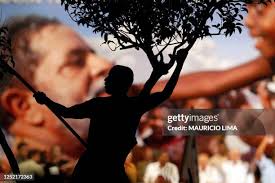 44 Bernardo Campos Stock Photos, High-Res Pictures, and Images