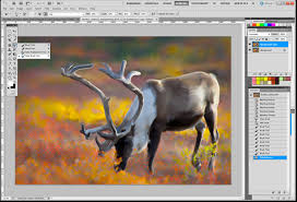 We did not find results for: Simulate Oil Painting With Adobe Photoshop Cs5 The Canadian Nature Photorapher