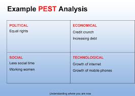 Edraw offers some examples to help you understand how to draw pest chart quickly. Introduction To Pest Analysis With Pest Examples