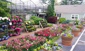View the 2021 directory of private schools with the highest tuition cost in massachusetts. Mahoney S Garden Center Paul Mahoney Opened The First Mahoney S Garden Center In Winchester Massachusetts In 1959 Today We Remain A Family Run Home And Gard
