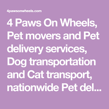 Passenger transport services are supplied when a vehicle, ship or aircraft is provided together with a driver or crew, for the carriage of passengers. Pin On Dogs