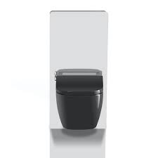 Bernstein Shower Toilet Pro 1104 With Integrated Bidet Function Glossy Black Rimless Japanese Wc