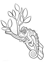 Chameleon, with complex and beautiful patterns. Coloring Pages Printable Chameleon Coloring Pages For Kids