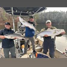 Lake Allatoona Spawn Season Bass - Georgia Outdoor News