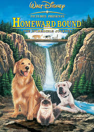 Last step is an adventure in which you will need to fly through forests, desert, etc. Homeward Bound The Incredible Journey Film Tv Tropes