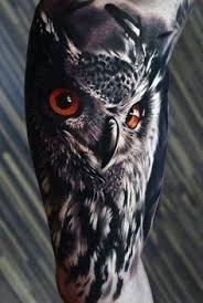 Realistic Bird Of Prey Tattoo 40 Realistic Owl Tattoo Designs For Men Nocturnal Bird Ideas In 2020 Realistic Owl Tattoo Mens Owl Tattoo Hyper Realistic Tattoo