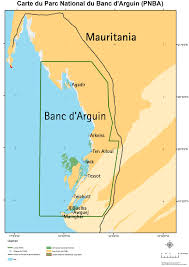 East Atlantic Flyway Partnership For The Conservation Of Tidal Flat Ecosystems Banc D Arguin Wadden Sea Panorama