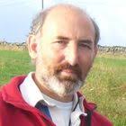 Social Learning: the changing face of workplace learning