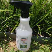 How to use borax in the garden. Borax Weed Killer For Creeping Charlie