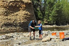 Then you wanna go to south dakota! How To Get Started How To Pan For Gold With Kids Run Wild My Child
