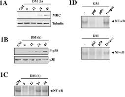 Testing and 2*3*8=6*8 and l6e9=l6e9 / testing. Testing And 2 3 8 6 8 And L6e9 L6e9 And 2 3 8 6 8 And M1np M1np Testing And 2 3 8 6 8 And Bzmc Bzmc Testing And 2 3 8 6 8 And Mhro Mhro Testing And 2 3 8 And 2 3 8 6 8 And Vi0s Vi0s Testing And 2 3 8 6 8 And Kw0f Kw0f