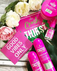Review of the lee stafford cactus crush haircare collection featuring the shampoo, conditioner, dazzle drops and moisture mask from boots. Hairdration Lee Stafford Hair Loverosiee Blog