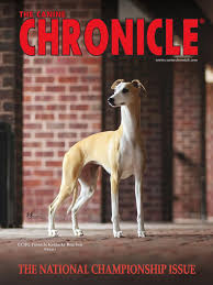 You can place shelves on either sides of the bathtub or shower. Canine Chronicle Nov 2019 Conformation Show American Kennel Club