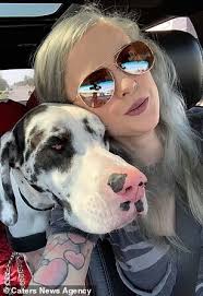 美国一只大丹犬患多齿症长有70颗牙齿——中国青年网