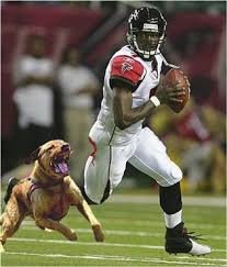 Check spelling or type a new query. The 10 Dumbest Michael Vick Moments Bleacher Report Latest News Videos And Highlights