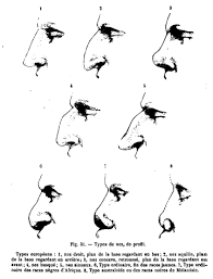 File Topinard Nasal Index Png Wikimedia Commons