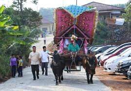 We did not find results for: Kereta Lembu Untuk Di Sewa Posts Facebook