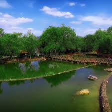 Kozlu Bahce Kozlubahce Twitter