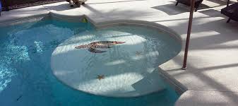 Situated in the beach community of indialantic, florida; Paradise Pools Construction