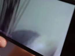 Hampstertube Porno Orgasmo - XXX BULE