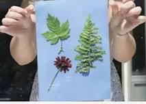 Nature Art